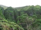 Maunawili Demonstration Trail